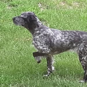 Meet your Posher, Steve